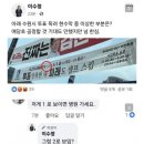 노모어피자서울대 이미지