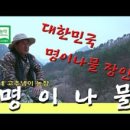 춘자농장 이미지