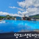 양지생태마을캠핑장 이미지