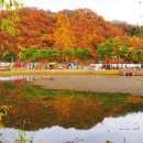 경안천습지생태공원 이미지