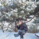 금북정맥 5구간(43km)한파경보,강풍경보,풍랑경보,대설주의보까지 내려진 고향 산줄기에 취하다~! 이미지