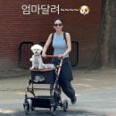 행복한결혼정보센터 펫노트
