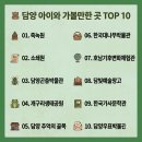 한국대나무박물관 후기｜대나무가 나무가 아니라 풀이라고? 광주근교 아이랑 담양여행