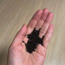 플러스알파 | 기분전환 알파플러스 내돈내산 찐 후기