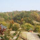 안동호반자연휴양림 이미지