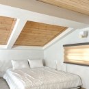 포포애견펜션 이미지