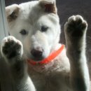 무지개다리 이미지