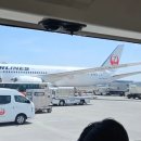잘(JAL) | 일본항공 JAL 이코노미 후기｜김포-하네다 플렉스 좌석(전방 선호 좌석), 기내식