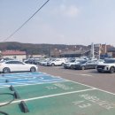 드림꽃사슴 이미지