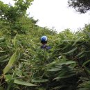 시전경로당 이미지