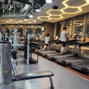해피헬스클럽 | 대전 서구 헬스장 해피헬스클럽 회원권 가격 정보