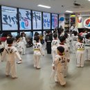 용인대 남양 태권도장 네이버블로그