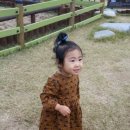나예옷 이미지