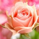 퍼스트 통신 이미지