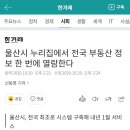 울산시 누리집에서 전국 부동산 정보 한 번에 열람한다 이미지