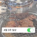 황제자전거 | [삼부자황제갈비살, 야당후기] 지나가던 4월 3주 붙잡고 사진 찍어옴📸