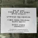 포레스트커피 | 안동 카페 라온 포레스트 커피 방문 후기 애견 동반 카페