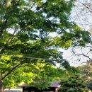 염포야영장 이미지