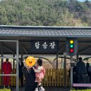 카&바이크 손 세차장 | 전주 아기랑 가볼만한 곳, 전주 레일바이크 체험후기