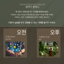 (원데이) 그린 플랜트 이미지