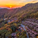 포레스트 리솜 이미지