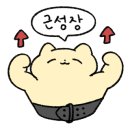 크로스핏 라온3 이미지