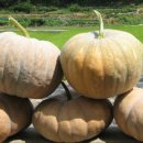 형근농장 이미지