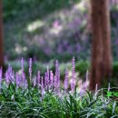 문흥 북구노인복지센터 이미지