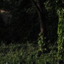 (주)브라보헬스 이미지