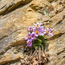 동강경로당 이미지