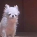 행림빌딩(주차빌딩) 이미지