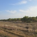 나들라온 이미지