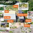 우포 잠자리 나라 이미지