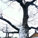 향교로 2 이미지