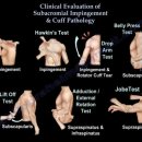 워너비짐 이미지