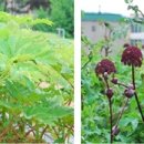 동정농장 이미지