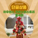 쎈스 | 클래식 감성 가득한 하우쎈스 크리스마스트리 풀세트 설치 후기