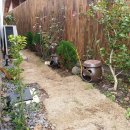 스테이돌덕 이미지