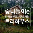 트리하우스 - 마포구 매봉산로2안길 12 | 숲나들e 단양 숲캉스 숙소 추천, "소선암자연휴양림 트리하우스 숲 "솔직후기