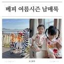 베베드피노 여름신상 메르시버니 애플봉봉 착용후기 사이즈팁