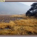 삼지연못 이미지