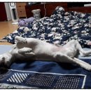 산새랑 게스트하우스 이미지