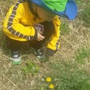 솔로몬어린이집 이미지