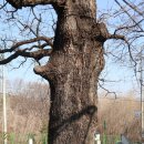 반계경로당 이미지