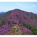 진달래주유소 이미지