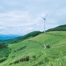 꽃등채 | 평창 가볼만한곳 @ 발왕산 케이블카, 대관령 삼양목장, 육백마지기 등 9곳