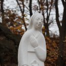 2018년 11월 17일 헝가리의 성녀 엘리사벳 수도자 기념일 이미지