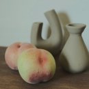 이언농장 이미지