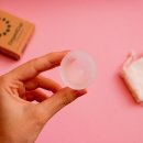 아기누리 이미지