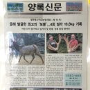 성환엘크사슴농장 네이버블로그